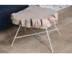 Table Basse Bois Tronc Pied Metal "Nervure"